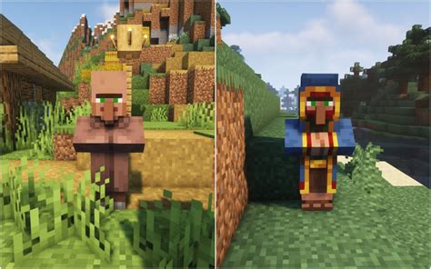 can you turn a wandering trader into a villager